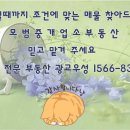 엘포트아이공인중개사사무소 이미지