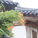 양곡리체험마을 | 충청북도 드라이브 충청도 가볼만한곳 충북여행지 5곳