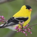 나도 지란지교를 꿈꾼다~ 이미지