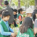 청평초등학교 이미지