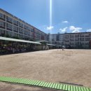 도계초교 이미지