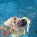 솔레마레 펜션 | 강화도 아기랑 여행, 강화도 아기랑 숙소 추천 달빛베베풀빌라 내돈내산 후기