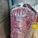 보은상회 | 2025 괴산 고추축제, 고추 가격·고춧가루 시세 + 보은 고추까지 알아보기