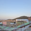 신의초등학교 네이버블로그