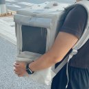 대전24시 센트럴동물병원 이미지