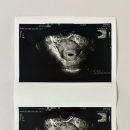 엘르메디여성의원 이미지