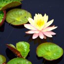 문심당한의원 이미지