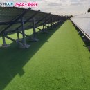 다음태양광발전소 이미지