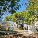 멘토르어린이집 이미지