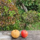 사천농협축동지점 이미지