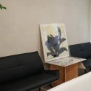 고운이치과교정과치과의원 이미지