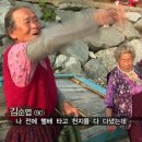 [설특집다큐고향극장내사랑장도] 아픈86세동생위해 낙지잡는 90세할머니 ㅠㅠ(스압.) 이미지