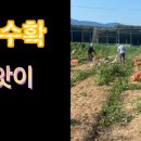 김원섭농장 이미지