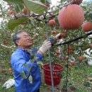 대흥농장2 이미지