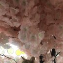 복덩이 건강센터 이미지