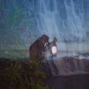 부여애견 이미지