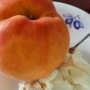 솔빛로 85 이미지