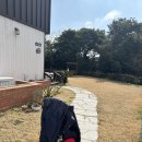 비자노아 이미지