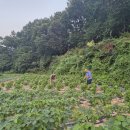 박종우농장 이미지