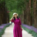 새천년공원길 이미지