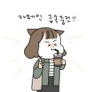 커피수혈 네이버블로그