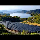 다음세대 태권도 이미지