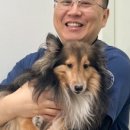 도담메디칼 이미지