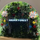 플레이 그라운드(Play Ground) | 의정부 아로하포레스트! 대관 후기 ⚽️🧸