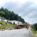 레터스펜션 이미지