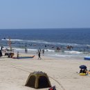 대천해수욕장 이미지