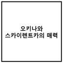 스카이렌트카 이미지