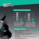 광화문동물병원 이미지