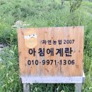 꼬꼬양계농장 이미지