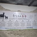 제일흑염소 | 파주 맛집 초보자도 반한 파주 흑염소 보양식 정진흑염소 솔직후기 잡내 제로