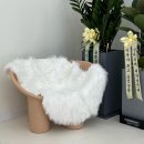 올펫살롱 이미지