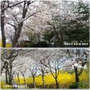 국가대표 탑클래스 태권도 이미지