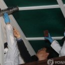 강릉펜션 이미지