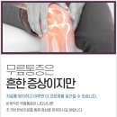 세지한의원 네이버블로그