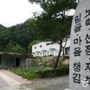 호도마을 Daum카페