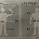 피노키오복싱 이미지