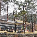 DMZ 평화의 길 11코스 이미지