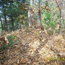 월리농장 이미지