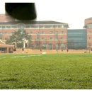 신화학원 이미지