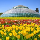 니스여행사㈜ 이미지