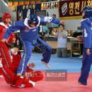 유로태권도 이미지