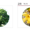 금산하이텍고등학교 이미지