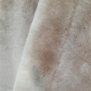 경화세탁소 이미지