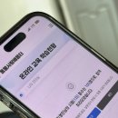 호야켄넬 | 대전동물보호센터 유기견 입양 후기