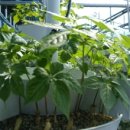 수인농장 이미지