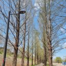 봉화1길 이미지